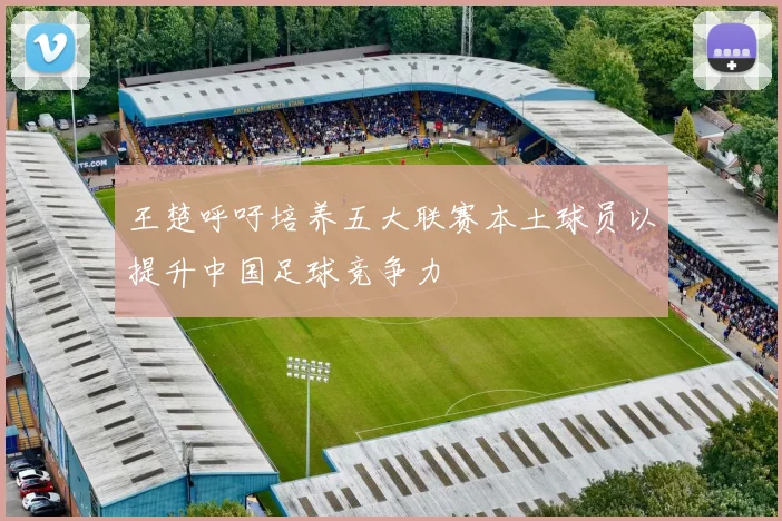 王楚呼吁培养五大联赛本土球员以提升中国足球竞争力